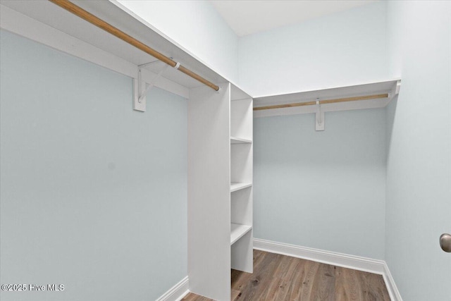 spacious closet with light wood-type flooring