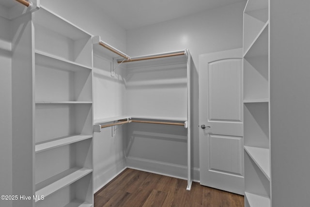 spacious closet with dark wood-type flooring