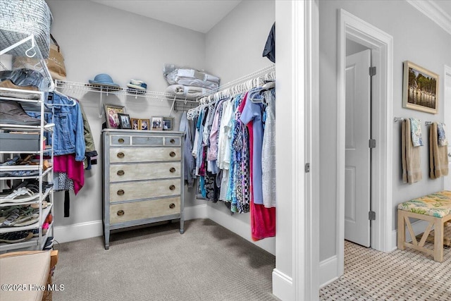 view of spacious closet