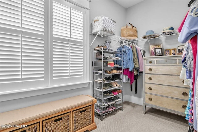 walk in closet featuring light colored carpet