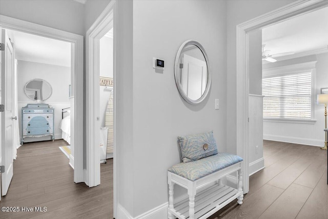 hallway featuring dark hardwood / wood-style floors