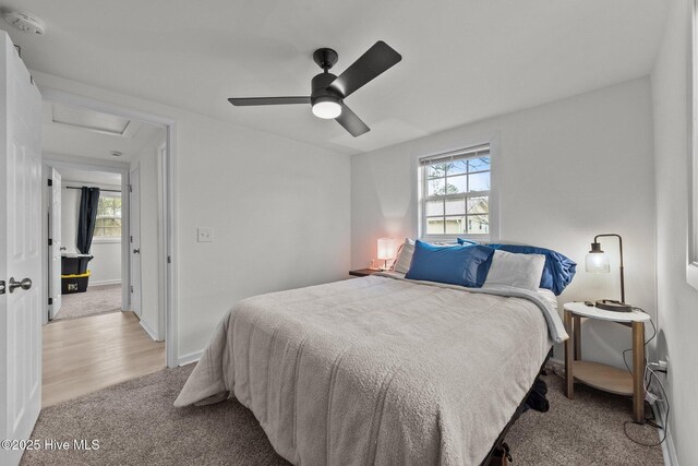 living room featuring light hardwood / wood-style floors, a wealth of natural light, and ceiling fan