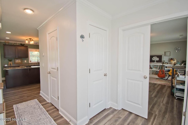 corridor with ornamental molding and dark wood-type flooring