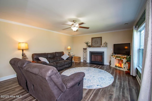 living room with ceiling fan, dark hardwood / wood-style flooring, and crown molding