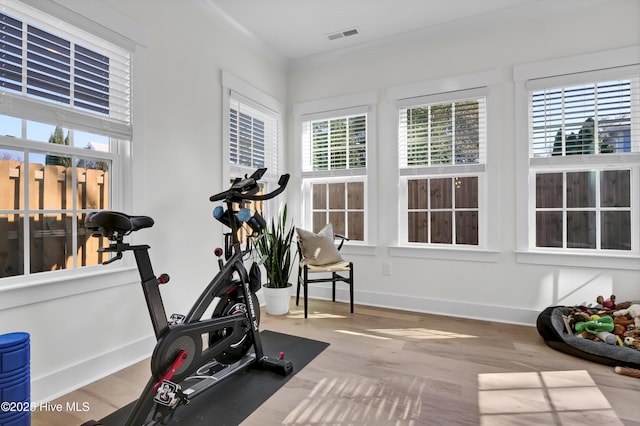 workout area featuring light hardwood / wood-style floors