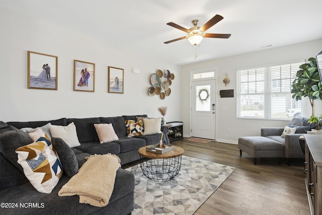 living room with ceiling fan and hardwood / wood-style flooring