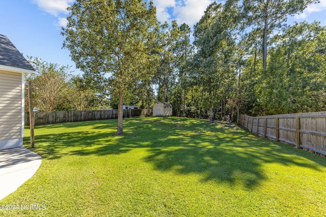 view of yard featuring a storage shed