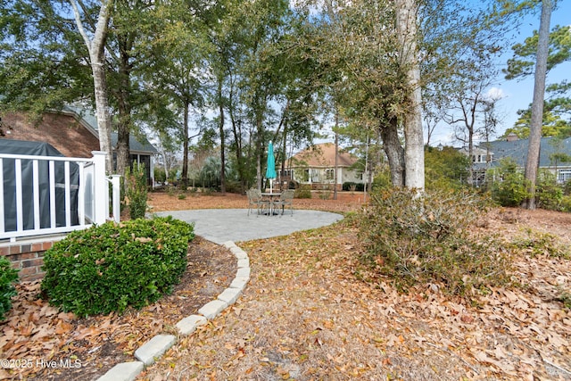 view of yard featuring a patio area