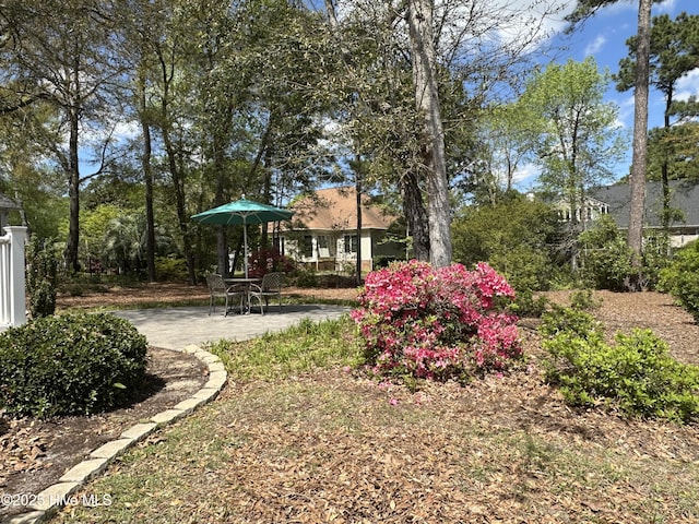 view of yard featuring a patio