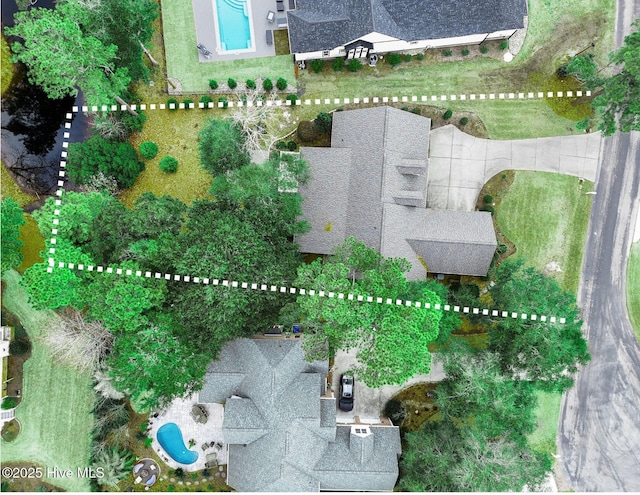 bird's eye view