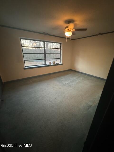 carpeted spare room with ceiling fan