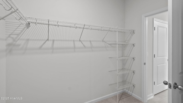 3901 Althorp Dr W, Wilson, NC 27893 - view of walk in closet