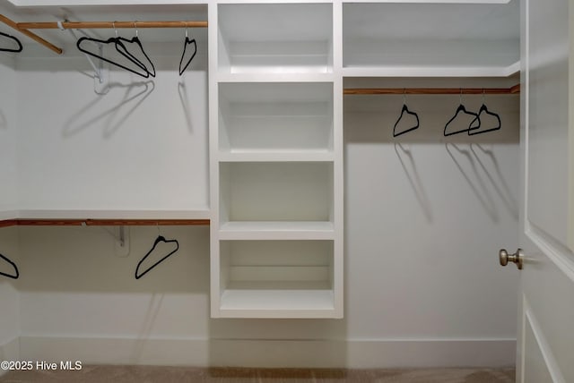 view of spacious closet