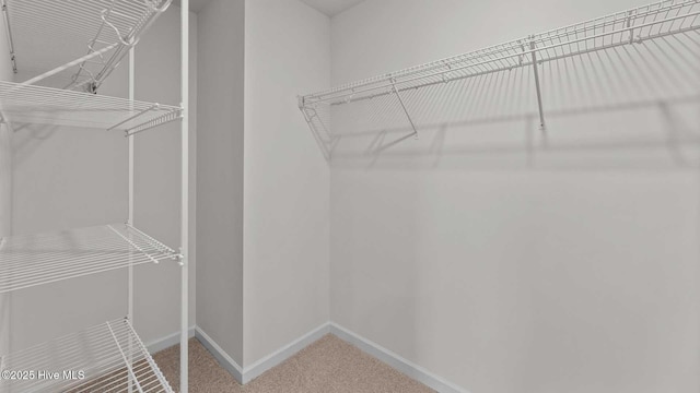 spacious closet with carpet flooring