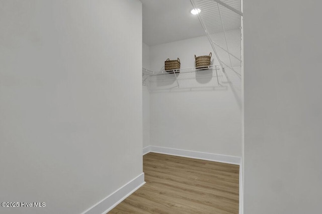 spacious closet featuring light hardwood / wood-style flooring