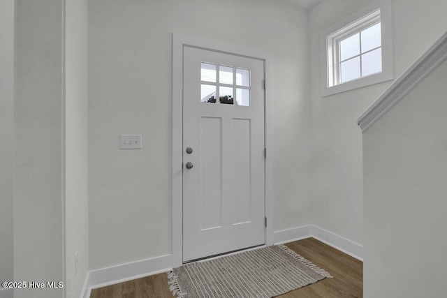 entryway featuring wood-type flooring and a wealth of natural light