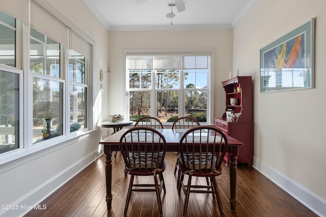 dining room featuring ornamental molding, dark wood-type flooring, and ceiling fan