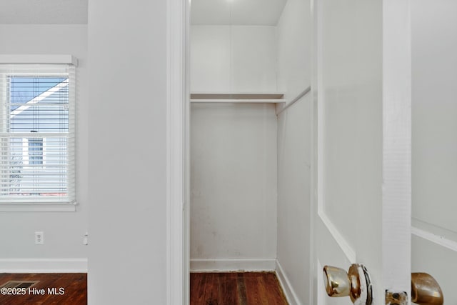 spacious closet featuring dark hardwood / wood-style floors