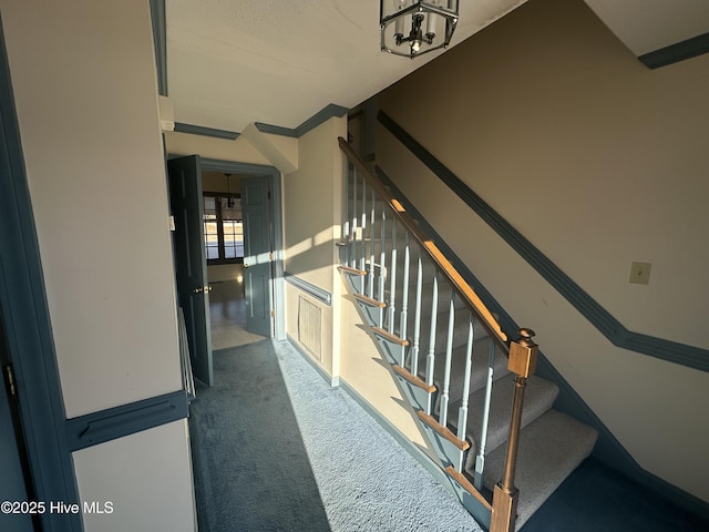 stairway featuring carpet floors