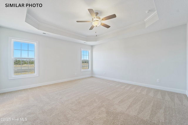 empty room featuring crown molding and a tray ceiling