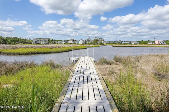 dock area with a water view