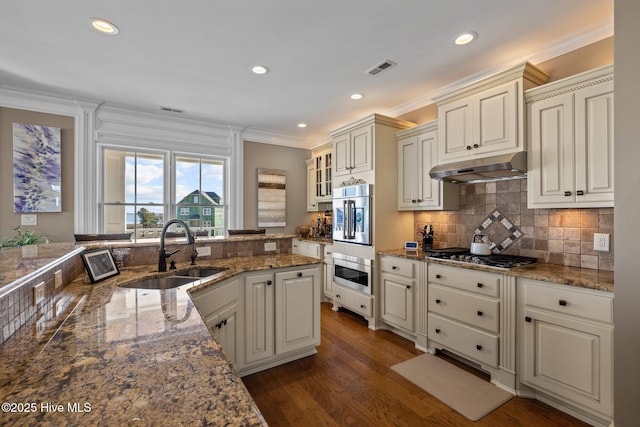 kitchen with sink, crown molding, appliances with stainless steel finishes, dark hardwood / wood-style floors, and decorative backsplash