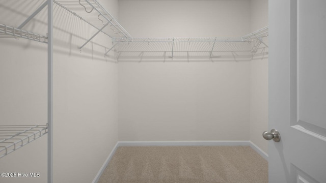 walk in closet with carpet