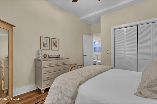 bedroom featuring ceiling fan, hardwood / wood-style flooring, and a closet