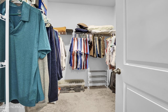 walk in closet featuring carpet flooring