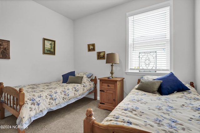 bedroom with multiple windows and carpet floors