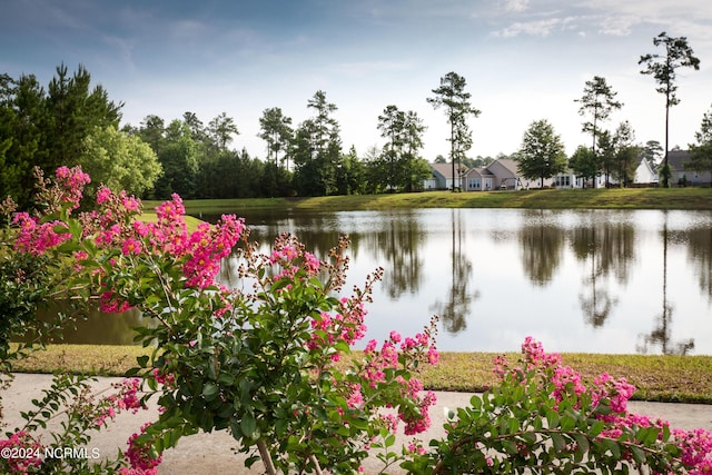 property view of water