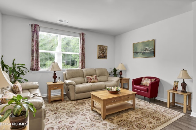 living room featuring wood-type flooring