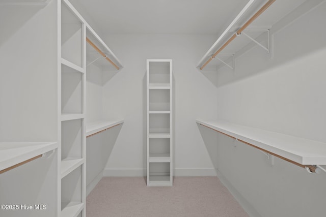 629 Vale Dr, Wilmington, NC 28411 - walk in closet with light colored carpet
