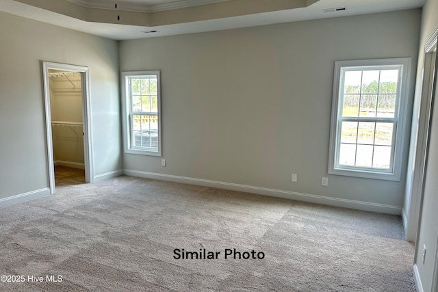 unfurnished bedroom with a raised ceiling, light colored carpet, a spacious closet, and a closet