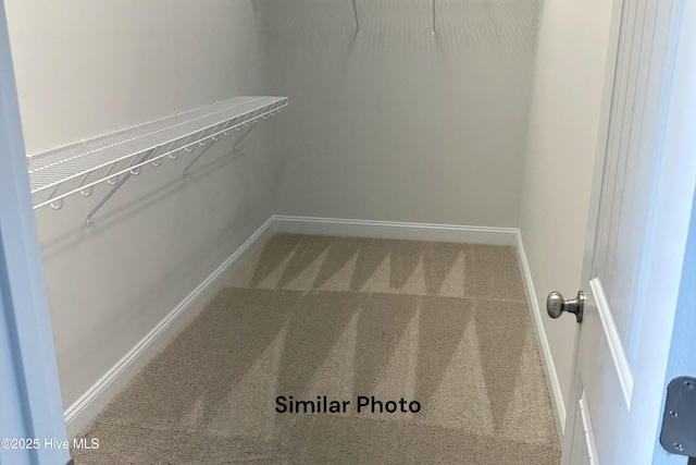 walk in closet featuring carpet flooring