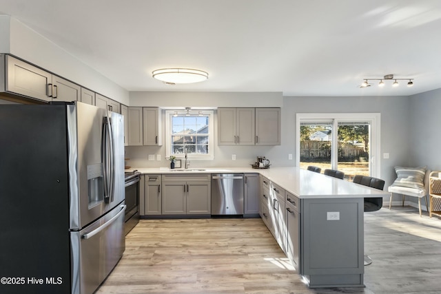 kitchen with stainless steel appliances, sink, light hardwood / wood-style flooring, kitchen peninsula, and gray cabinetry