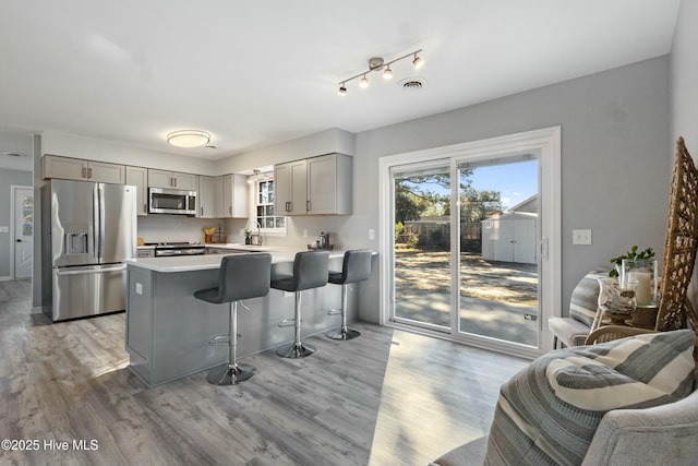 kitchen with stainless steel appliances, light wood-type flooring, gray cabinetry, and kitchen peninsula