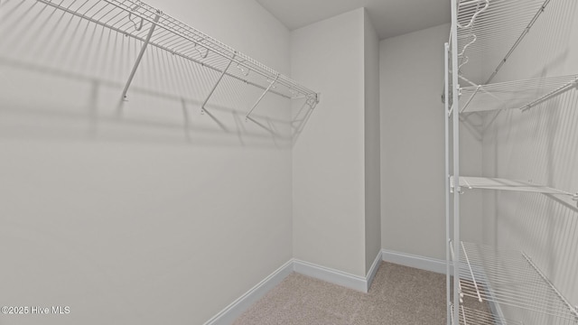 spacious closet with carpet flooring