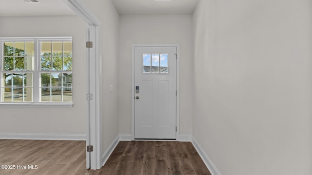 entryway featuring hardwood / wood-style floors