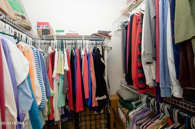 view of walk in closet