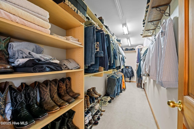 view of walk in closet