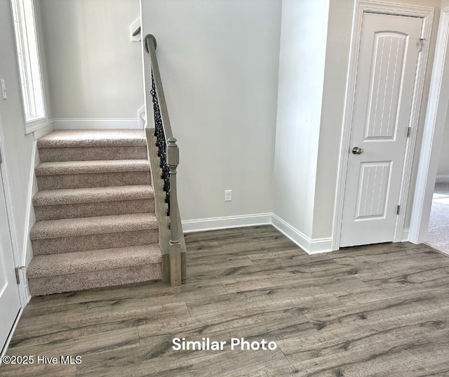 staircase featuring hardwood / wood-style flooring