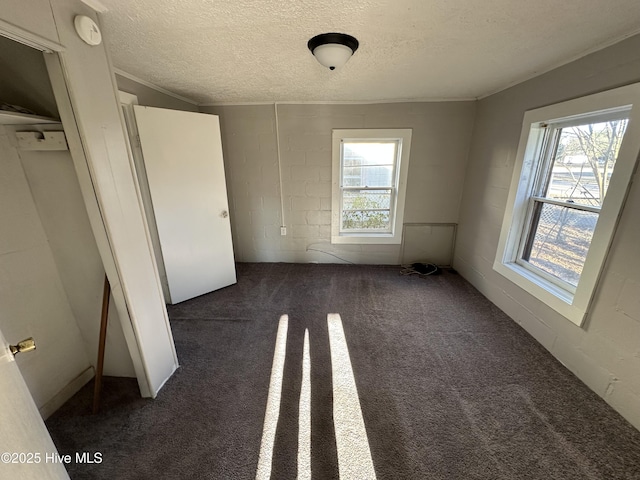 carpeted spare room featuring a textured ceiling and a wealth of natural light