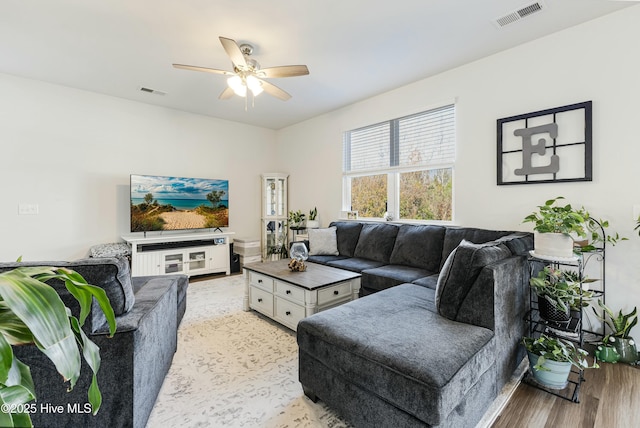 living room with ceiling fan and light hardwood / wood-style floors