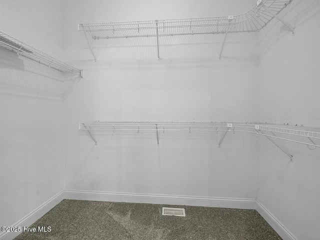 walk in closet featuring carpet flooring