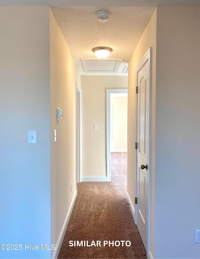 hallway with carpet and a textured ceiling