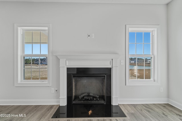 details with hardwood / wood-style floors