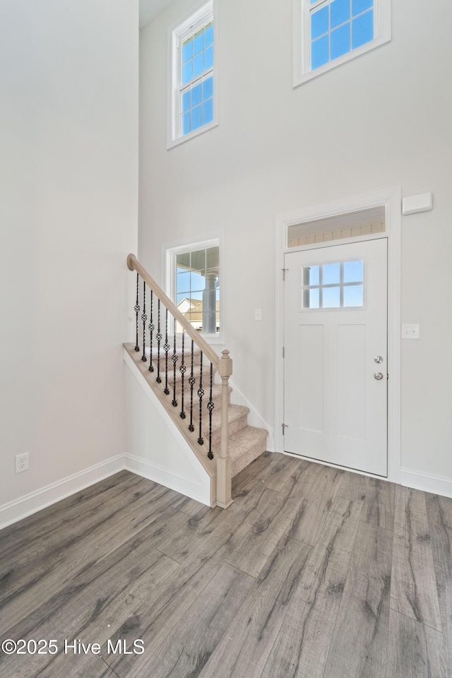 entryway featuring hardwood / wood-style flooring and a high ceiling