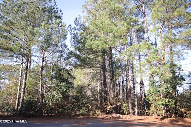 LOT13 Sykes St, Tabor City NC, 28463 land for sale