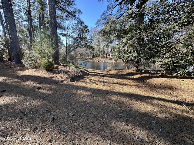 view of yard with a water view